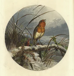 De Kerstliedzanger